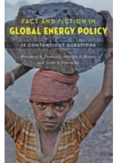 Fact and Fiction in Global Energy Policy : Fifteen Contentious Questions