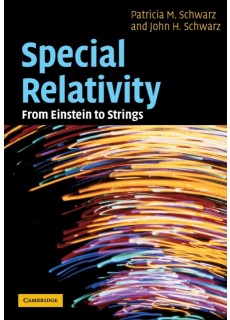 Special Relativity : From Einstein to Strings