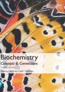 (eBook) Biochemistry: Concepts and Connections, Global Edition 2nd Edition