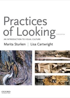 eBook_Practices of Looking : An Introduction to Visual Culture 3rd E
