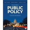 Public Policy A Concise Introduction