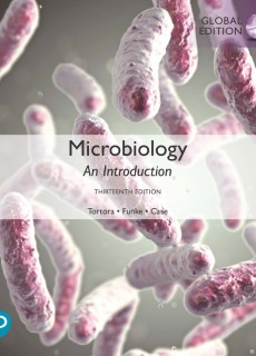 (eBook) Microbiology: An Introduction, Global Edition