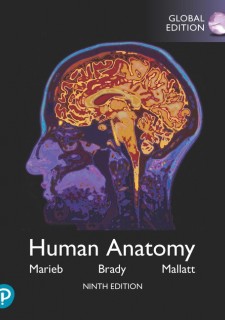 Human Anatomy, eBook, Global Edition