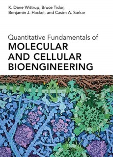 Quantitiative Fundamentals of Molecular and Cellular Bioengineering