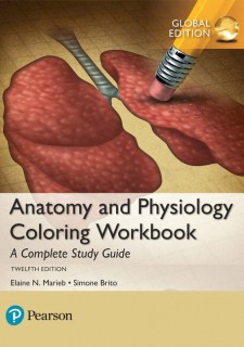 Anatomy and Physiology Coloring Workbook: A Complete Study Guide, eBook, Global Edition