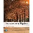 (eBook) Introductory Algebra, Global Edition